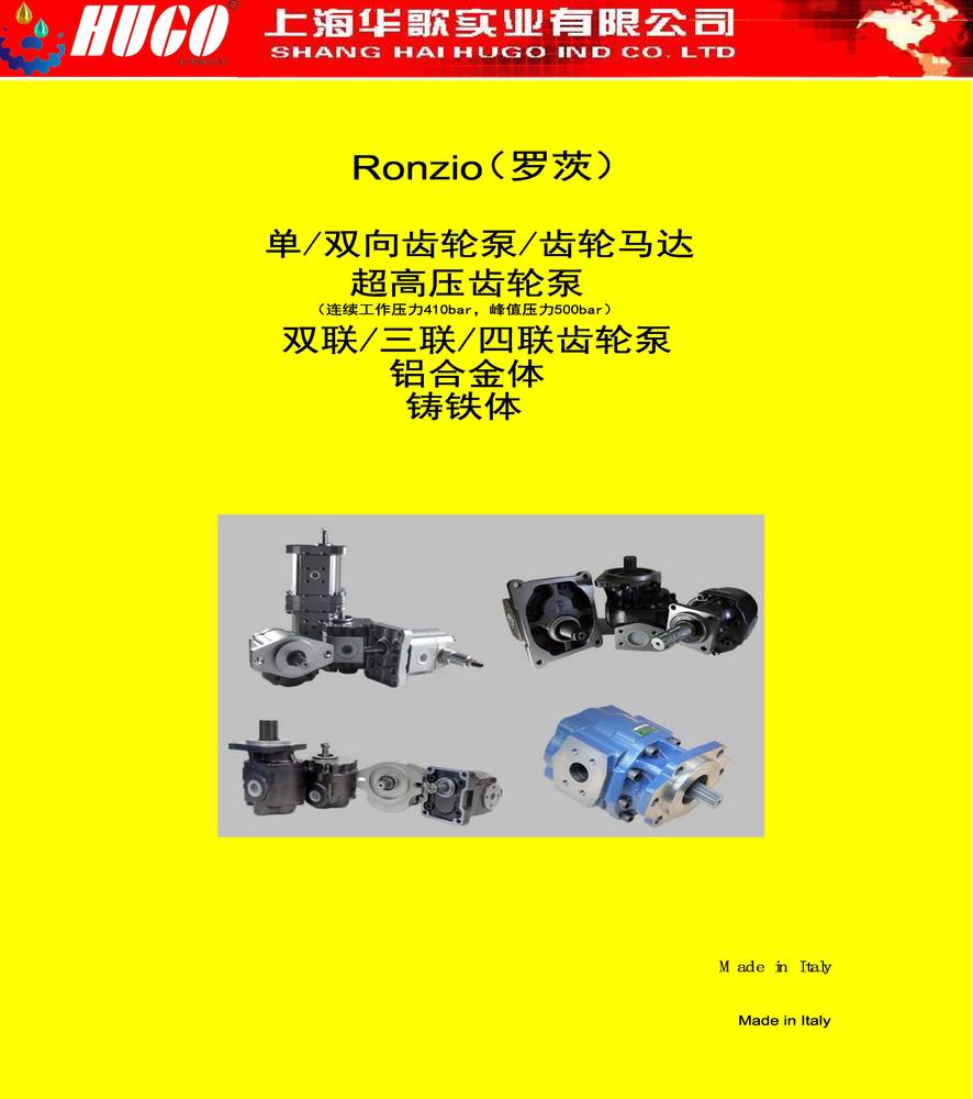 1-RONZIO齿轮泵202004_页面_001.jpg