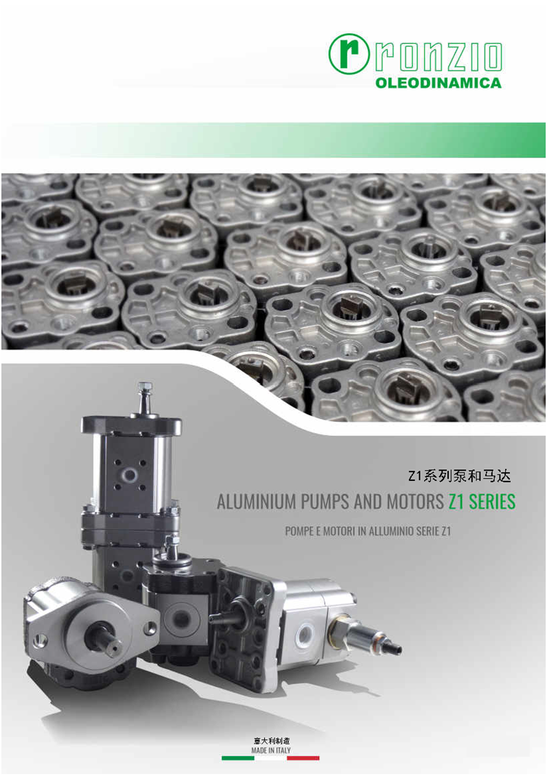 RONZIO齿轮泵201810_页面_010.png