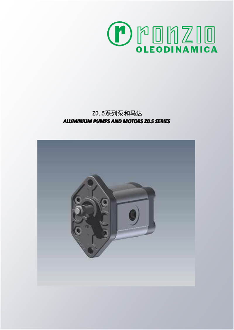 RONZIO齿轮泵201810_页面_005.png